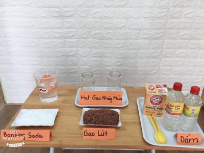 Thí nghiệm vui "HẠT GẠO NHẢY MÚA"